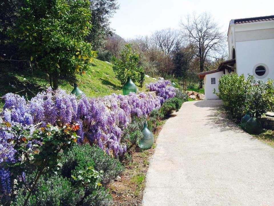Il Maniero Bed & Breakfast Cassino Exterior photo